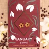Σκουλαρίκια Birthstone January