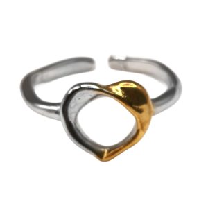Δαχτυλίδι Γυναικείο Foxy Lady Δίχρωμο R762 Silver Gold Combo