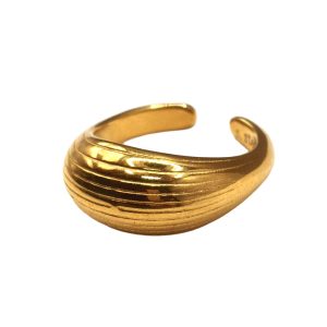 Δαχτυλίδι Γυναικείο Foxy Lady R257 Gold