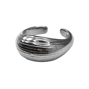 Δαχτυλίδι Γυναικείο Foxy Lady R257 Silver