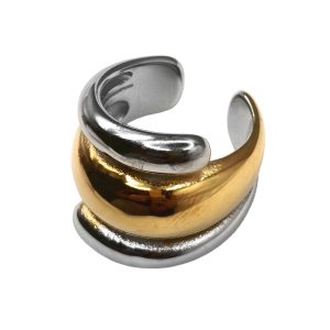 Δαχτυλίδι Γυναικείο Foxy Lady Δίχρωμο R260 Silver Gold Combo